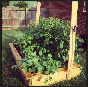 Garden2014